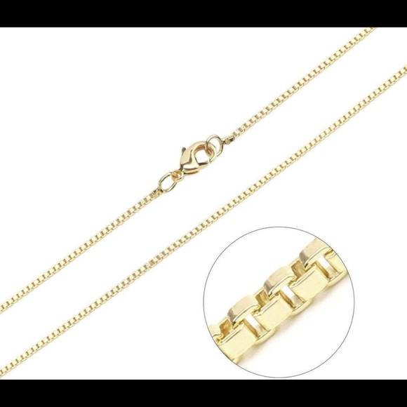 Wentletrap Shell on 14K Gold Plated Box Chain (16") - Picture 3 of 4